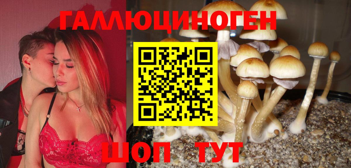 Армавир  где купить наркотик  Вход с VPN  Галлюциногенные грибы Magic Shrooms 