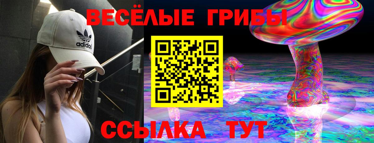 Псилоцибиновые грибы Cubensis Армавир